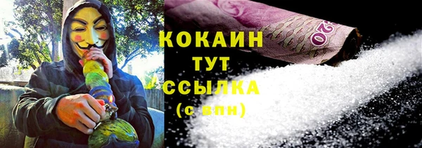 мдпв Богданович